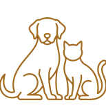 In-home Nursing Support